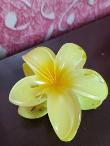 Floral Hair Claw Clip