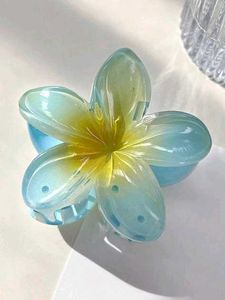 Fuzzy Claw Hair Clip (Get One For 80)