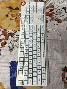 EvoFox Deathray RGB Gaming Keyboard