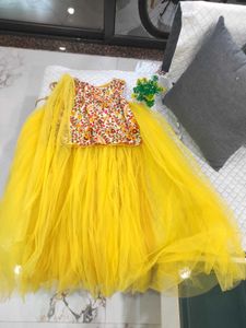 Elegant Lehenga Choli .