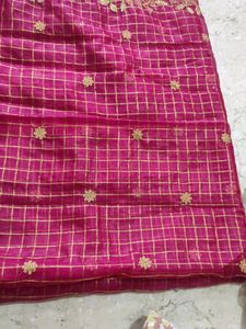 Organza Cut Work Checks Dupata