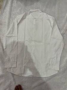 Crisp White Button-Down Shirt