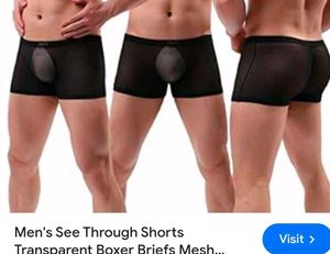 Sheer Mesh Boxer Briefs
