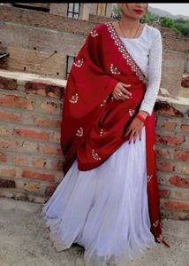 Elegant Lehenga Choli Set