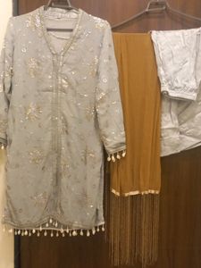 Designer pakistan dress