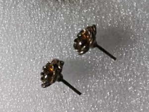 Rose Stud Earrings✨