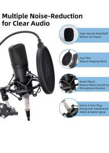 Professional Studio Microphone