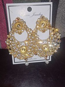 Beautiful Design Earrings