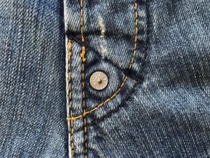 HUGO BOSS JORTS