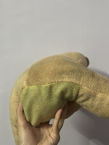 Cute Teddy Bear