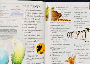 Why I Wonder Childern Book Series