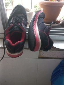 Sparx Brand Light Shoes 👞