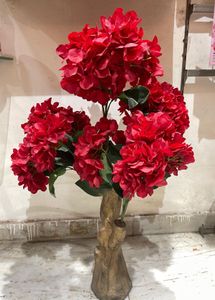 Red Plant