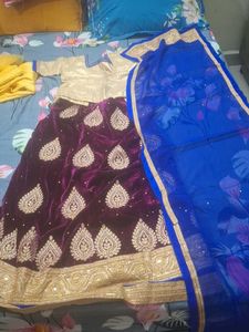 Elegant Embroidered Lehenga Choli Set