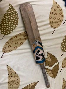 Kashmir Willow Sg Bat