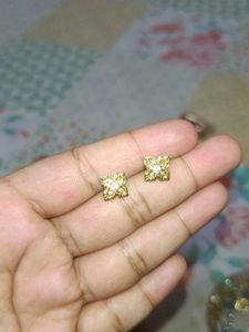 Women No Tarnish Earrings