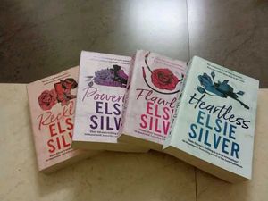 Chestnut Springs Series By Elsie Silver 4 Books