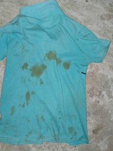 Boys 4K Collection Teal Polo Shirt