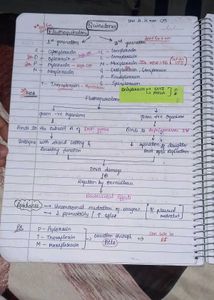 2nd Year Whole Antimicrobial Notes Pharmacology