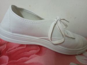 Canvas Shoe