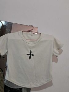 Beige Embroidered Top