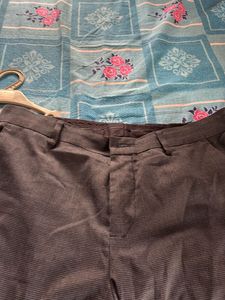Men Office Pant