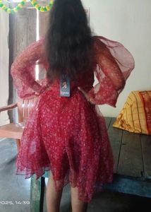 Floral Print Sheer Sleeve Dress