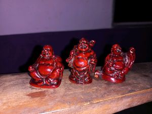Showcase Item (Pack Of 3)
