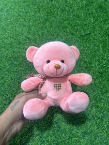 Pink Plush Teddy Bear