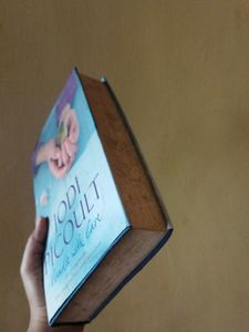 Jodi Picoult &#34;Handle With Care&#34; Fiction Novel Book