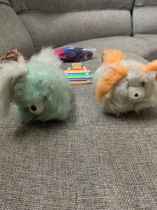Decor Items