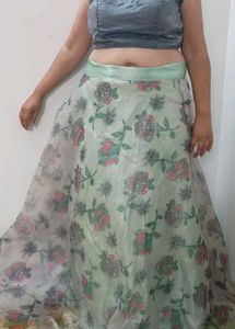 Organza Skirt With Blouse