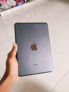 Apple iPad mini