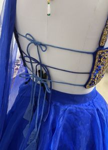 Blue Embellished Lehenga Choli