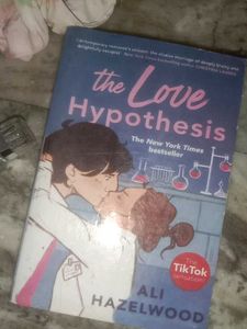 The Love Hypothesis 💗