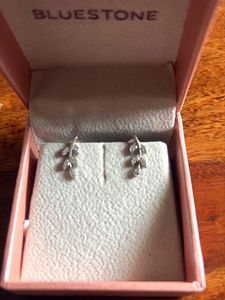 Bluestone LeafSilver Earrings