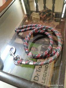 Free - Pet Leash