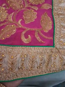 Multi Color Heavy Work Paroot Green Designer