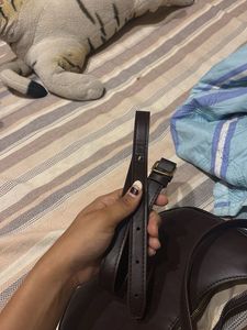 Handbag &amp; Shoulder Bag