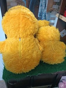 Duck Plushies - Bundle of Joy!