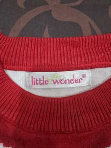 Red Bird Print Sweater