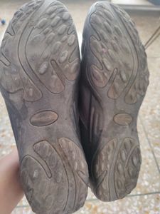 Hush Puppies Men Leather Shoes