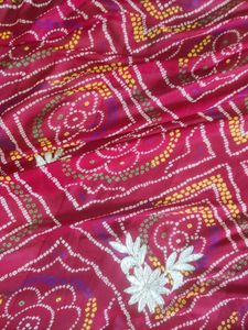 Elegant Embroidered Saree