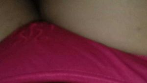 Panty Daily Wear