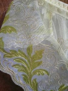 Lace Net Trim Panty