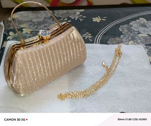 Stylish Women Fancy Bridal Clutch
