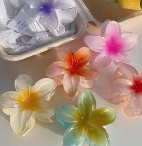 Flower Hair Clips pack of 2