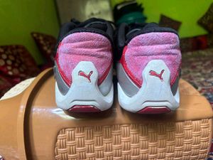 PUMA Scuderia ferrari Drift Cat