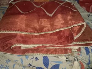 Limited Time Offer On Stylish Organza Saari