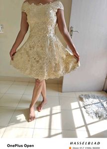 Lace Vintage Dress